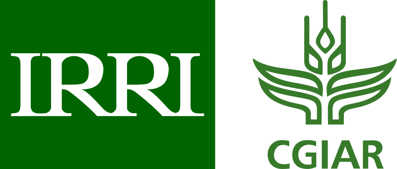 IRRI CGIAR